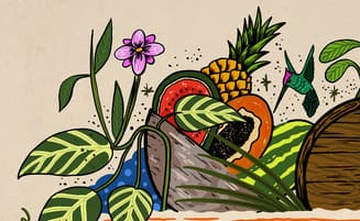 Ilustración Colibrí y Frutas Imperial Hechicera Stout