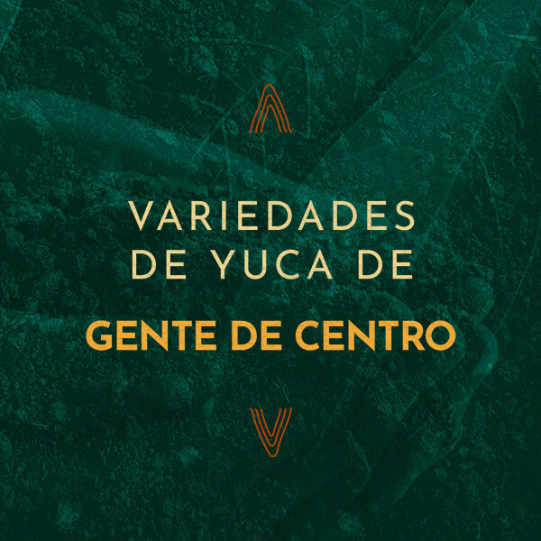 Variedades de Yuca